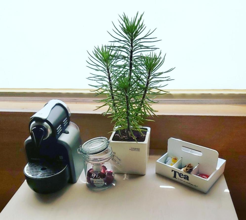 De Linderd Bed and Breakfast Άαλστ Εξωτερικό φωτογραφία