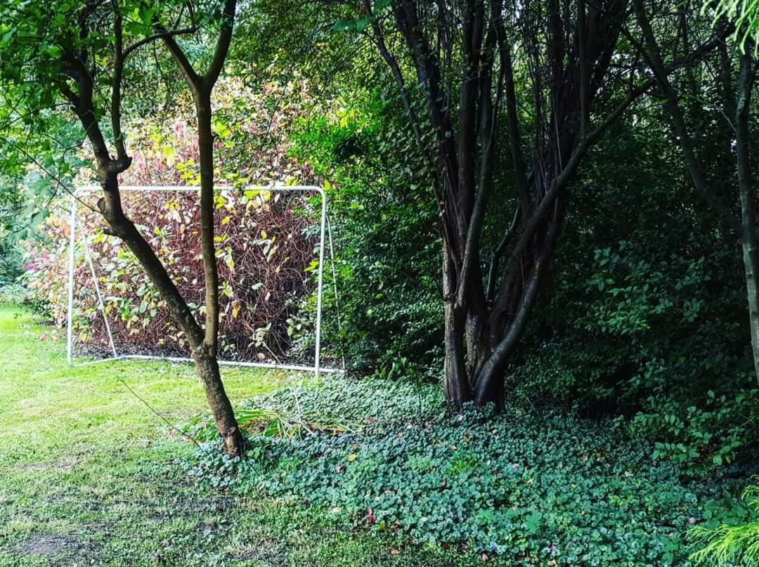 De Linderd Bed and Breakfast Άαλστ Εξωτερικό φωτογραφία