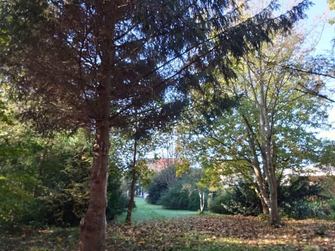 De Linderd Bed and Breakfast Άαλστ Εξωτερικό φωτογραφία